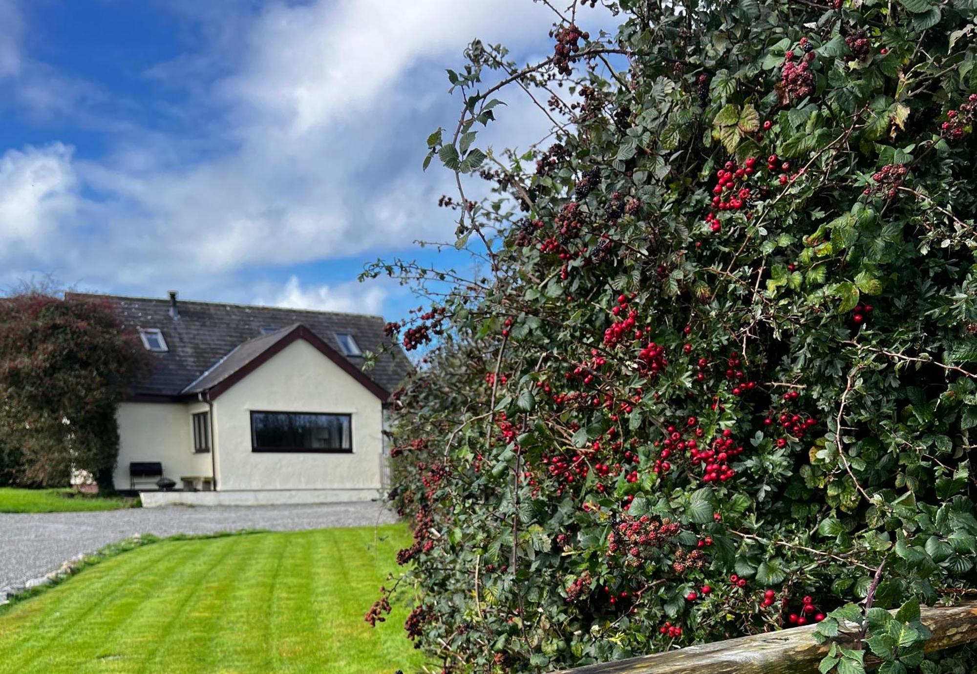 3 Bed Detached Cottage- Log Burner Mountain Views Beaumaris Exteriér fotografie